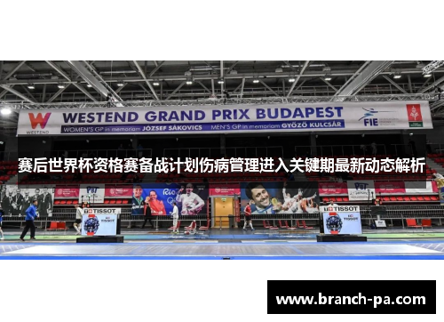 赛后世界杯资格赛备战计划伤病管理进入关键期最新动态解析