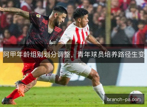 阿甲年龄组别划分调整，青年球员培养路径生变